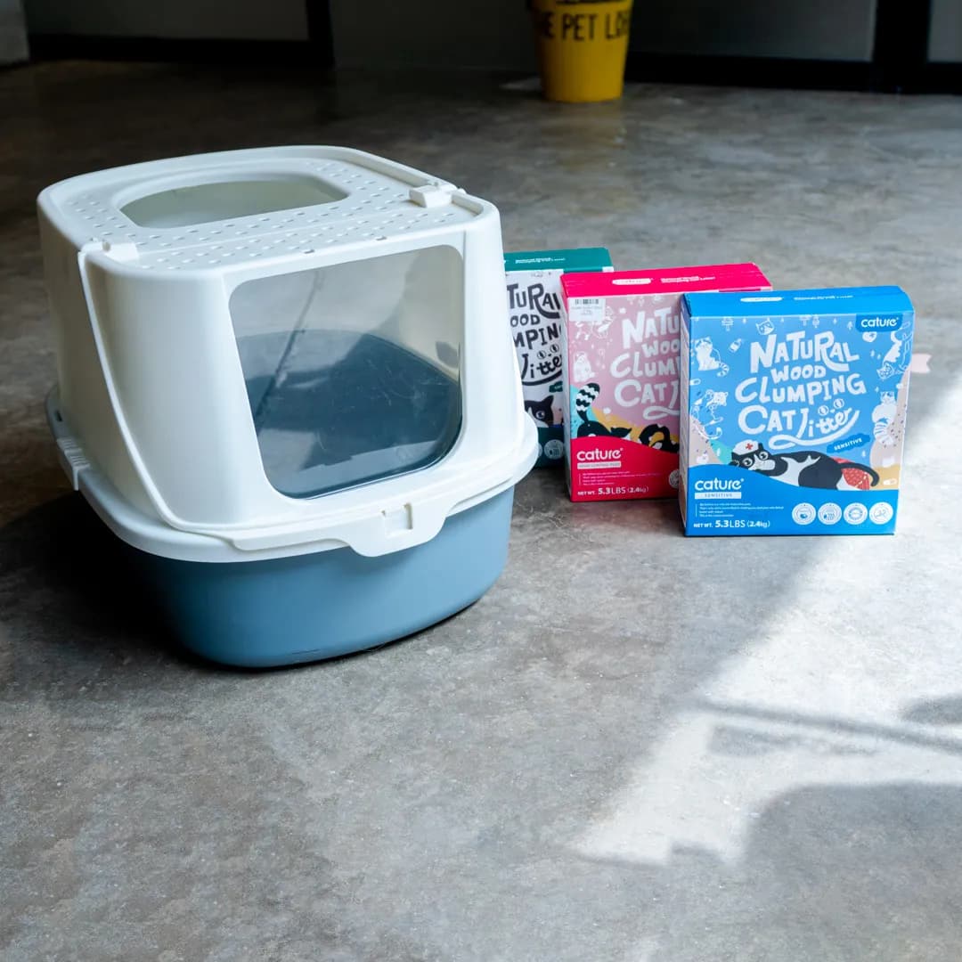 Bags of cat food arranged on a concrete floor